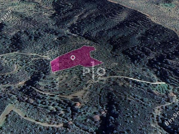 land for sale vavla larnaca 8275008 image 15156839