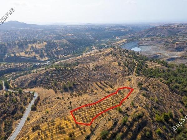 land for sale agia marina xyliatou nicosia 8255108 image 15421010