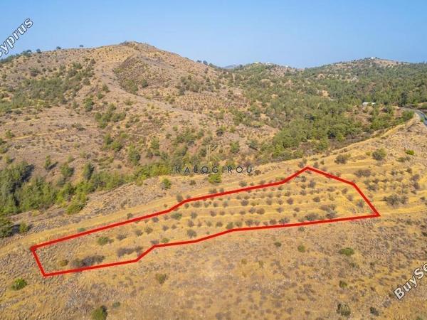 land for sale agia marina xyliatou nicosia 8255108 image 15421011