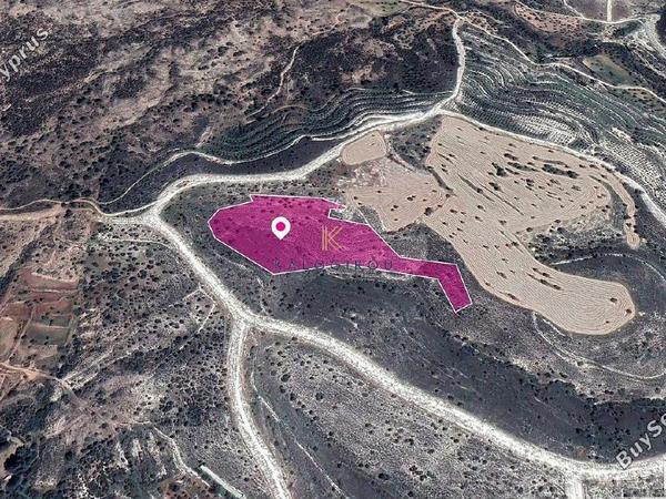 land for sale anglisides larnaca 1650108 image 5664635