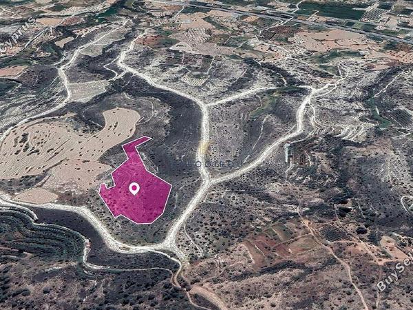 land for sale anglisides larnaca 1650108 image 5664640