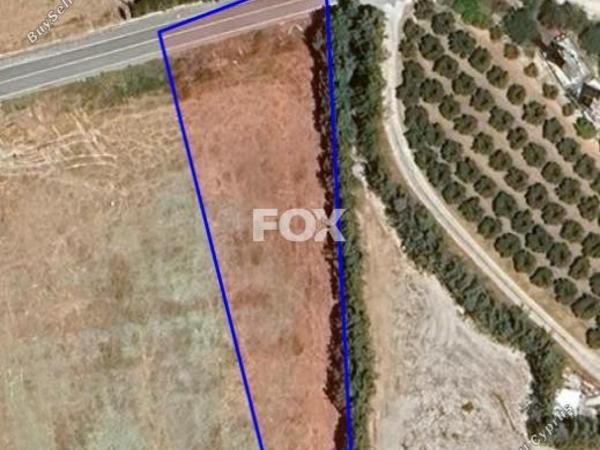 land for sale nikokleia paphos 8317108 image 15400209