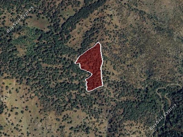 land for sale pigenia nicosia 1369108 image 7640923