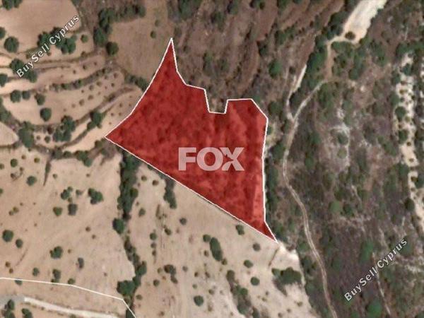 plot for sale koili paphos 1159108 image 14906375