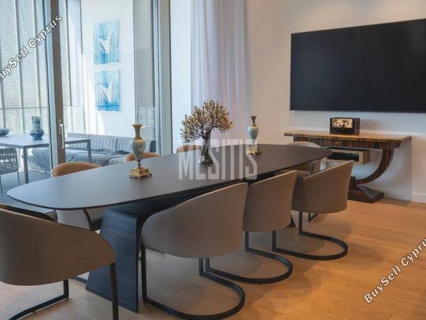 studio apartment for rent nicosia municipality nicosia 7885108 image 16340481