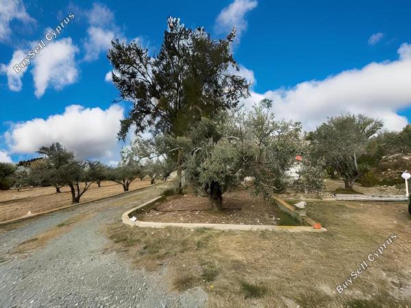 4 bedroom detached house for sale agios theodoros larnacas larnaca 1774208 image 13142467