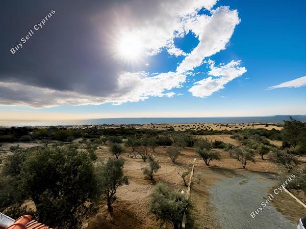 4 bedroom detached house for sale agios theodoros larnacas larnaca 1774208 image 13142472