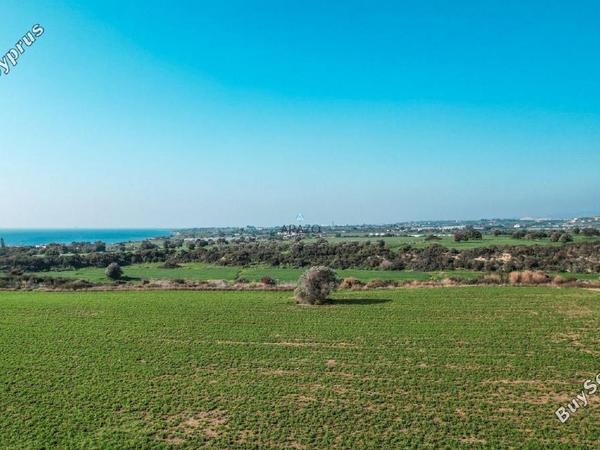 land for sale agios theodoros larnacas larnaca 1648208 image 6411625