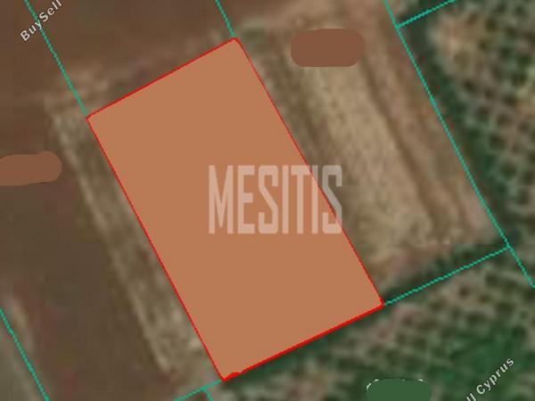 land for sale akaki nicosia 975208 image 12815633