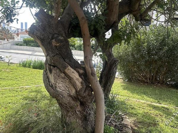 4 bedroom detached house for sale agios athanasios limassol 8209408 image 13703054