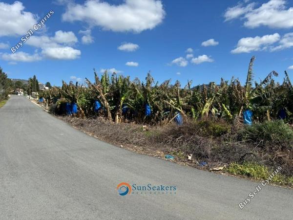 land for sale peyia paphos 8529408 image 15454303