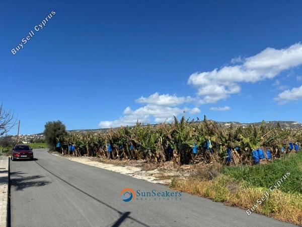 land for sale peyia paphos 8529408 image 15454304