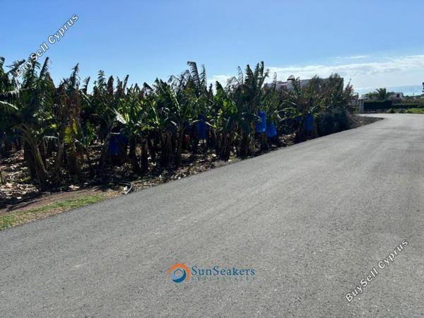 land for sale peyia paphos 8529408 image 15454305
