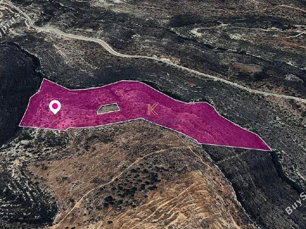 land for sale sotira lemesou limassol 1650408 image 5669569