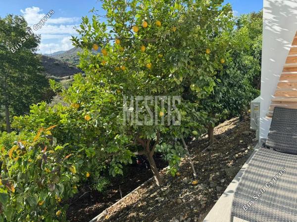 2 bedroom detached house for sale arakapas limassol 7838508 image 11047250