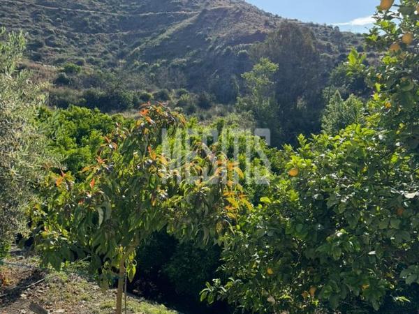 2 bedroom detached house for sale arakapas limassol 7838508 image 14523203
