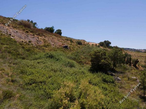 land for sale fyti paphos 1835508 image 15597233