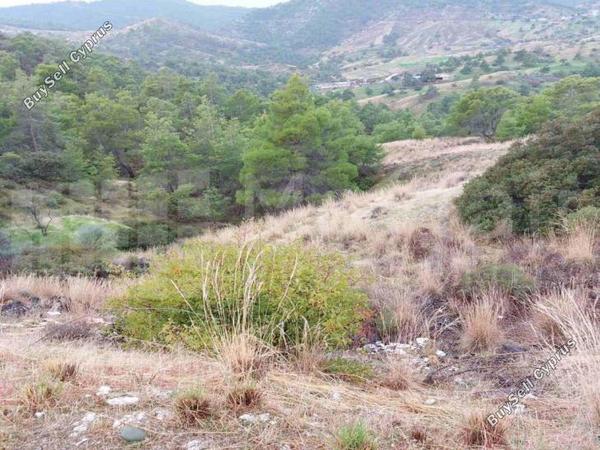plot for sale pano pyrgos nicosia 7871508 image 11381461