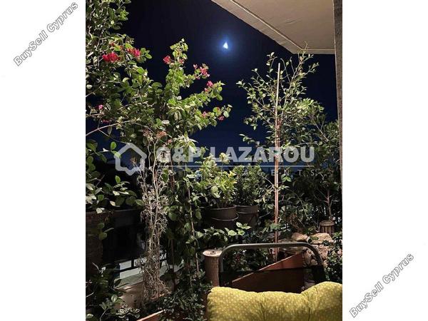 2 bedroom apartment for sale agios dometios nicosia 1668608 image 12633942