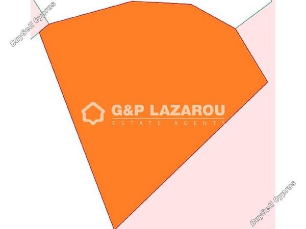 land for sale agios theodoros larnacas larnaca 1576608 image 6022912