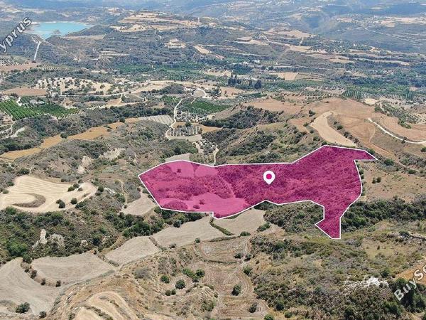 land for sale choli paphos 8237608 image 14231280