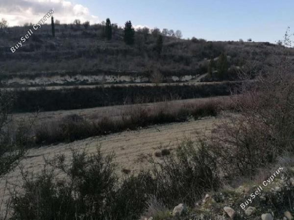 land for sale kathikas paphos 8839608 image 17052846