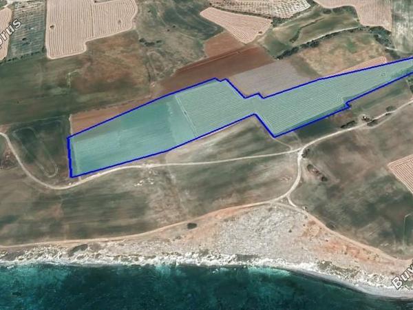 land for sale mazotos larnaca 1546608 image 13273523