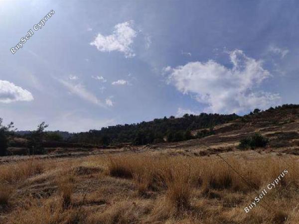 land for sale pano pyrgos nicosia 1145608 image 15601869
