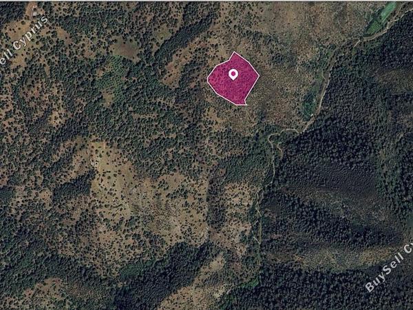 land for sale pigenia nicosia 8629608 image 15869204
