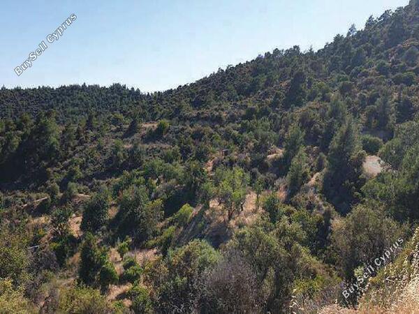 land for sale sanida limassol 933608 image 822422