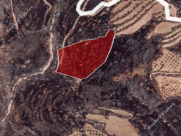 land for sale pentalia paphos 945708 image 15600211