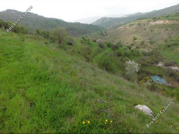 land for sale pentalia paphos 945708 image 15600212