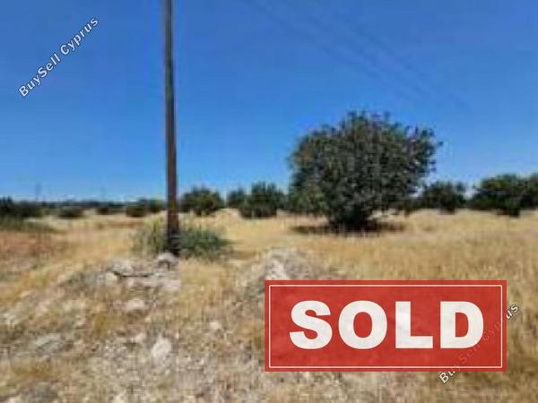 land sold choirokoitia larnaca 1829708 image 6445884