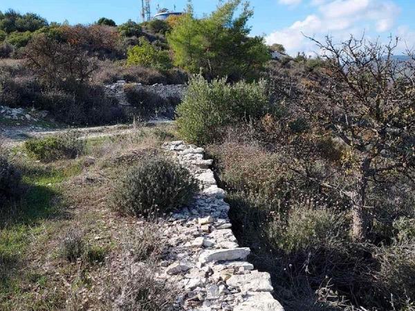 land for sale asgata limassol 1066808 image 1212182