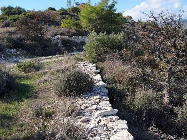 land for sale asgata limassol 1066808 image 1212188