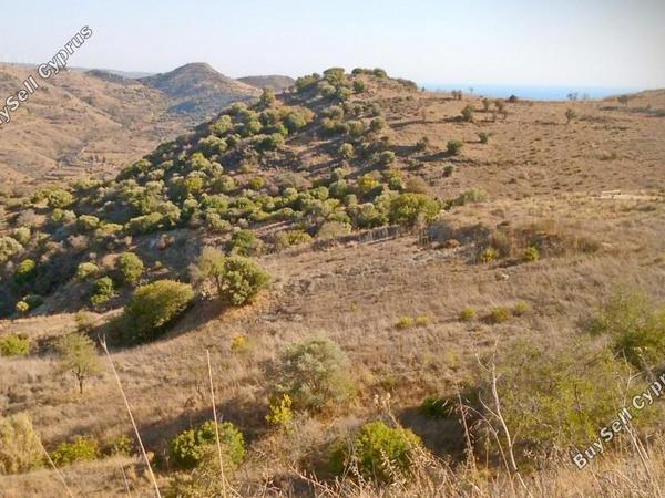 land for sale episkopi pafou paphos 8529808 image 15734096