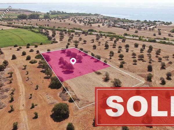 land sold mazotos larnaca 1171808 image 3555065