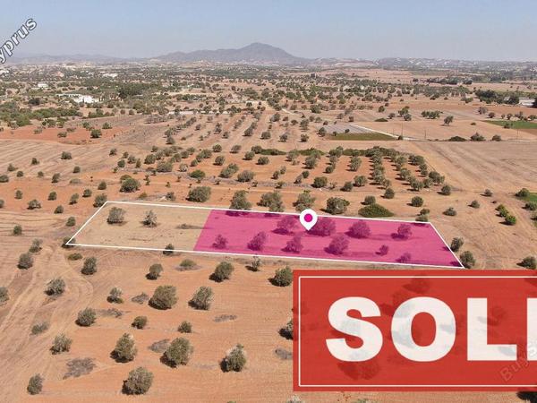 land sold mazotos larnaca 1171808 image 3555066