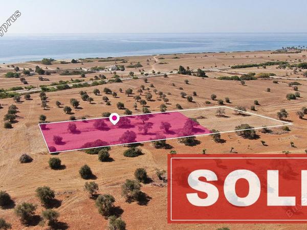 land sold mazotos larnaca 1171808 image 3555067