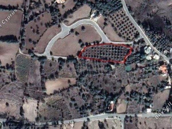 plot for sale lasa paphos 1804808 image 10077029