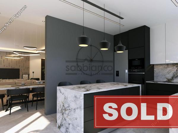 3 bedroom detached house sold kato lakatamia nicosia 8738908 image 16365650