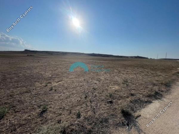 land for sale agioi trimithias nicosia 8248908 image 13860442