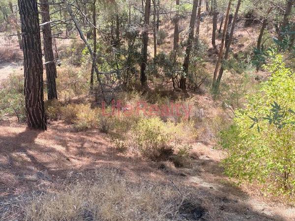 plot for sale moniatis limassol 8898018 image 17356307