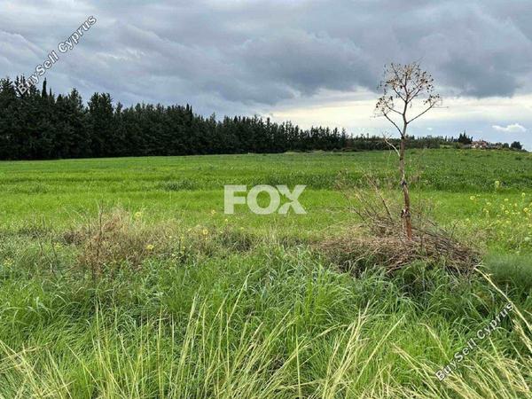 land for sale nikokleia paphos 1270118 image 5547452