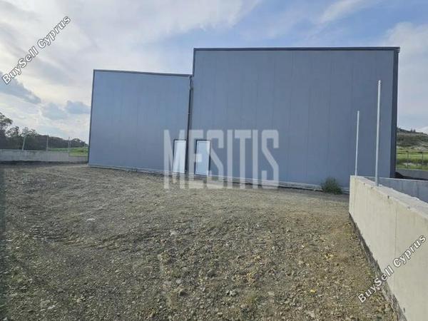 studio warehouse for rent alampra nicosia 8864118 image 17181550
