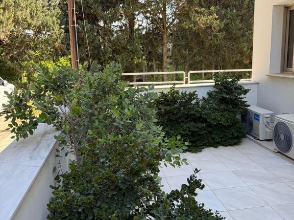 2 bedroom apartment for rent meneou larnaca 8495218 image 16528225