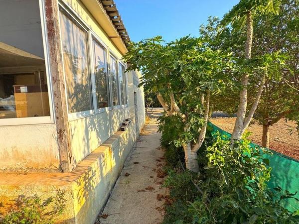 3 bedroom bungalow for sale chlorakas paphos 8395218 image 14817521