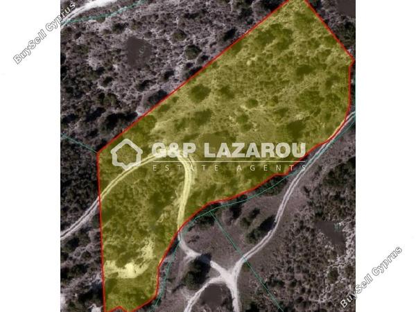 land for sale kalavasos larnaca 1688218 image 14152707