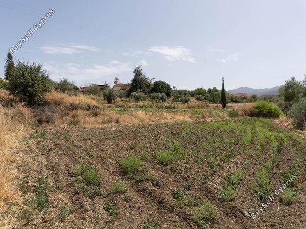 land for sale lythrodontas nicosia 8716218 image 16295179