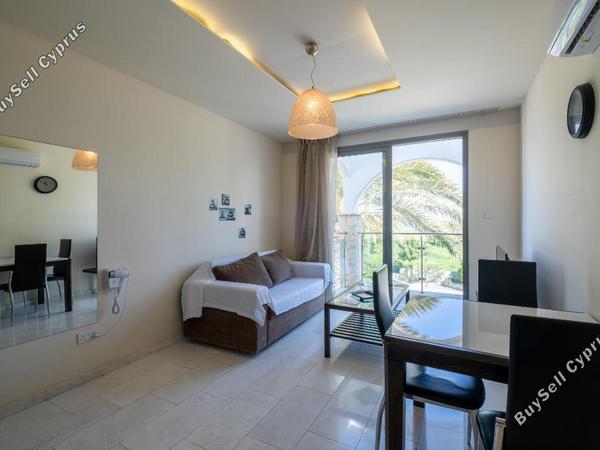 1 bedroom apartment for sale latsi paphos 8387318 image 14754170